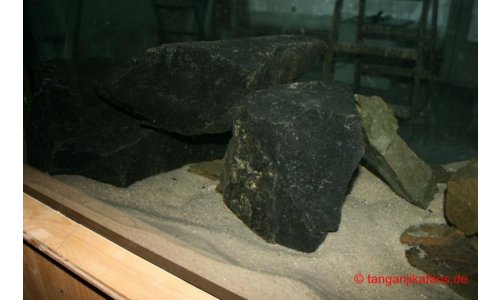 Schaubecken 900l 1